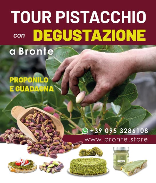 Bronte: Tour e degustazione nelle piantagioni di pistacchi - Lunch and the pistachio tasting: the part you’ll remember