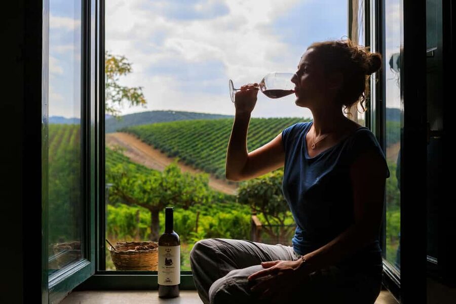 Camporeale: Sallier de La Tour Wine Discovery Tour - Should you book Camporeale’s wine discovery tour?