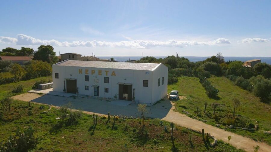 CASA NEPETA: Botanical Walk, Amari Production, and Tasting - The tour moves from the field to the factory walls (and Loste’s mural)