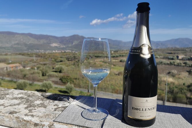 Castelmola and Etna Wine Tasting Tour from Messina - Key things that make this tour worth your time
