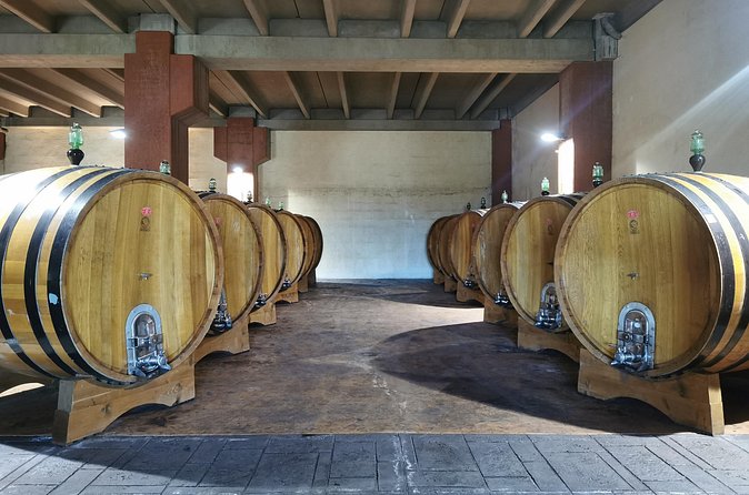 Castelmola and Etna Wine Tasting Tour from Messina - Logistics you should plan for (so nothing surprises you)