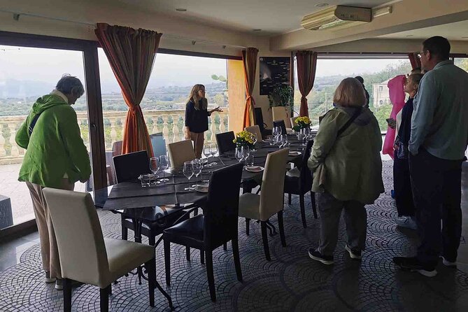 Castelmola and Etna Wine Tasting Tour from Messina - Passopisciaro and the Etna winery lunch: where the day turns tasty
