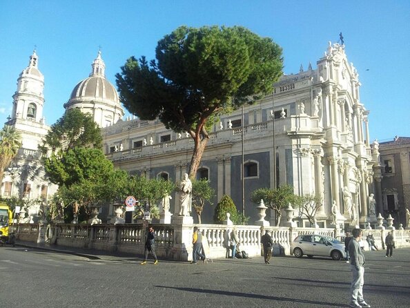 Catania authentic Street Food - Key highlights you’ll feel right away