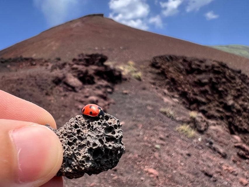 Catania: Etna Morning Excursion with Tasting and Pickup - Should You Book This Etna Morning Excursion?