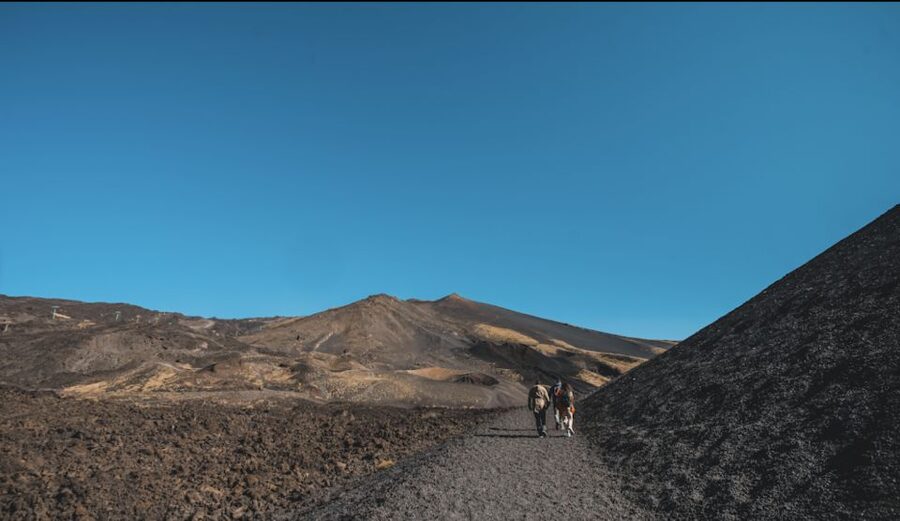Catania: Etna Morning Excursion with Tasting and Pickup - Lava Caves and Magma Tubes: Underground Etna, Up Close
