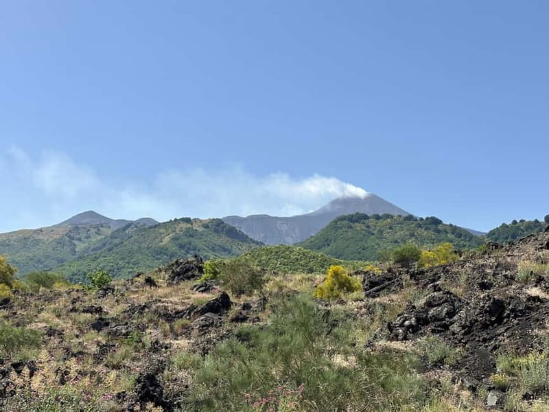 Catania: Etna Tour with licensed Tour Guide pickup & drop-of - Getting to Etna from Catania: pickup at Piazza Stesicoro and the van ride rhythm