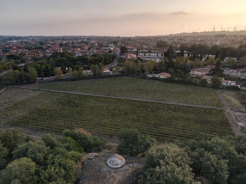 Catania: Etna Urban Winery Sicilian Lunch with Wine Tasting - Who should book this Etna urban winery lunch