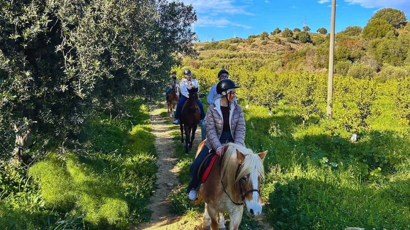 Catania: Guided Horseback Ride in Misterbianco Countryside - Key Things I’d Bookmark Before You Go
