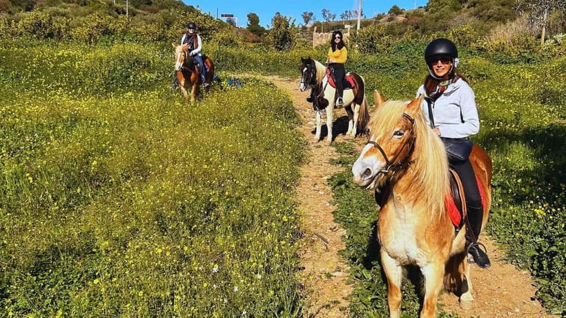 Catania: Guided Horseback Ride in Misterbianco Countryside - Why This Horse Ride Works So Well (Even If You’ve Never Ridden)