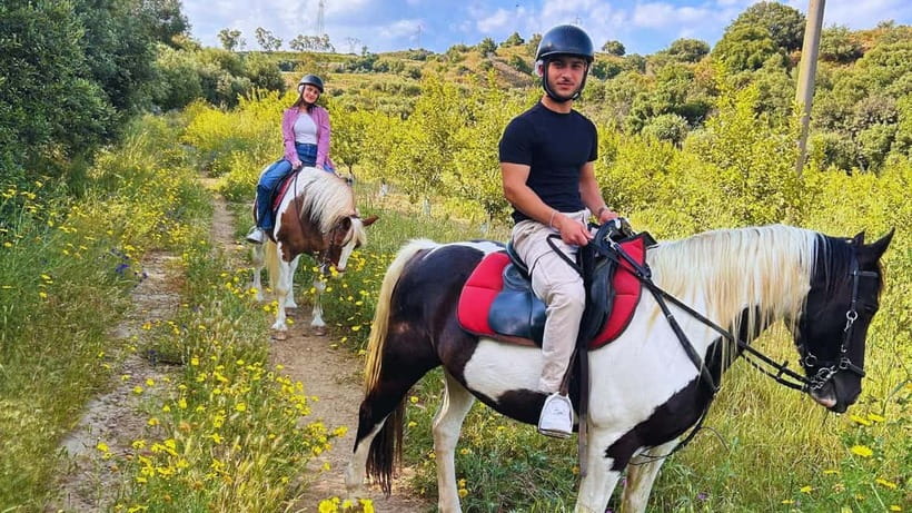 Catania: Guided Horseback Ride in Misterbianco Countryside - Who This Is For (And Who Should Skip It)