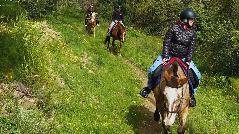 Catania: Guided Horseback Ride in Misterbianco Countryside - Time, Price, and Value: Is $49 Worth It?