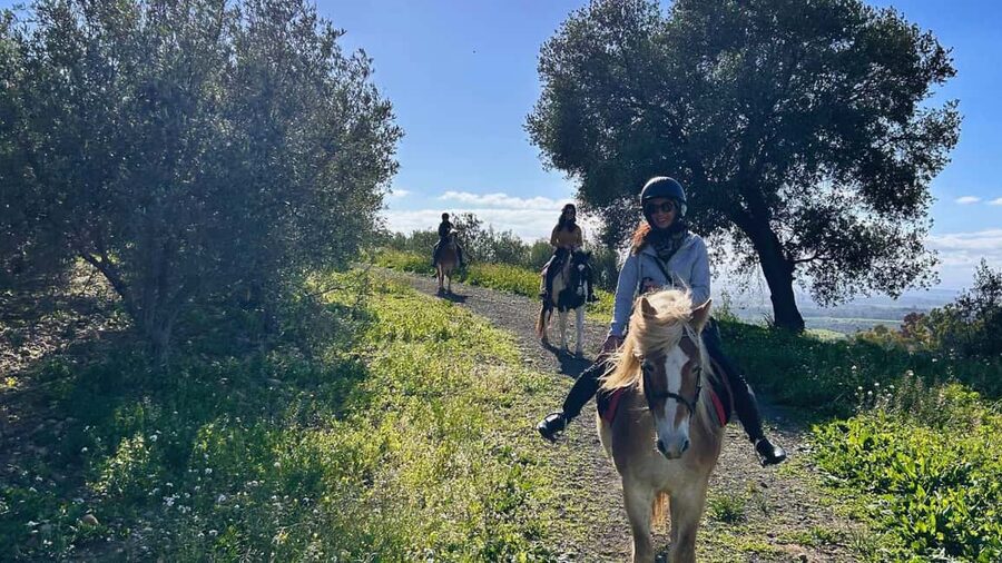Catania: Guided Horseback Ride in Misterbianco Countryside - What You Should Bring (So the Hour Feels Comfortable)