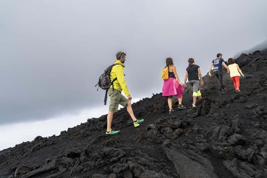 Catania: Guided Tour of Etna with Farm Visit & Food Tasting - Ancient craters and panoramic views without a rushed pace