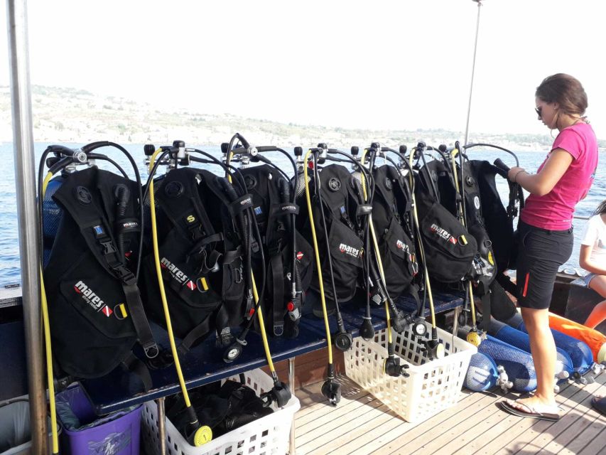 Catania: Gulf Scuba Diving Tour with Marine Biologist - Beginner-Friendly Coaching and Safety Checks