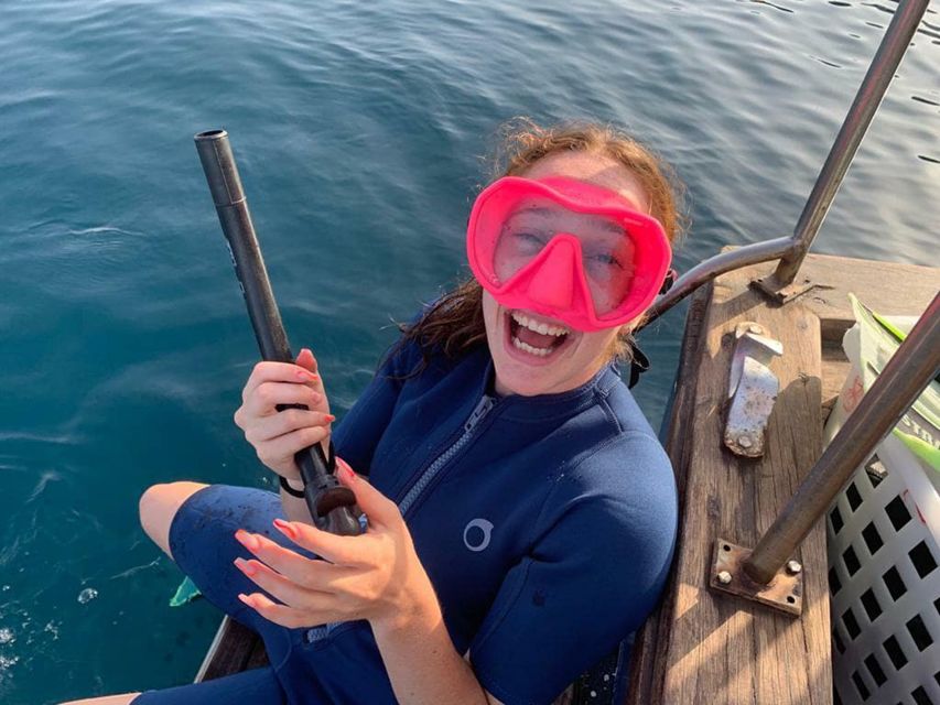 Catania, Isole Ciclopi: Snorkeling Trip - Isole Ciclopi protected waters: where the fish watching gets easier