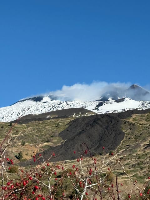 Catania: Morning Jeep Tour of Mount Etna and Lava Flow Caves - Zafferana Etnea tasting break: local flavor after the geology