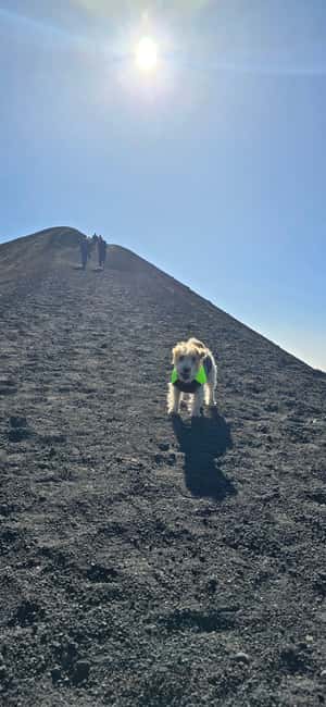 Catania: Morning tour of Etna with a visit to the Valle del Bove - Valle del Bove: The 64,000-Year-Old Natural Amphitheater