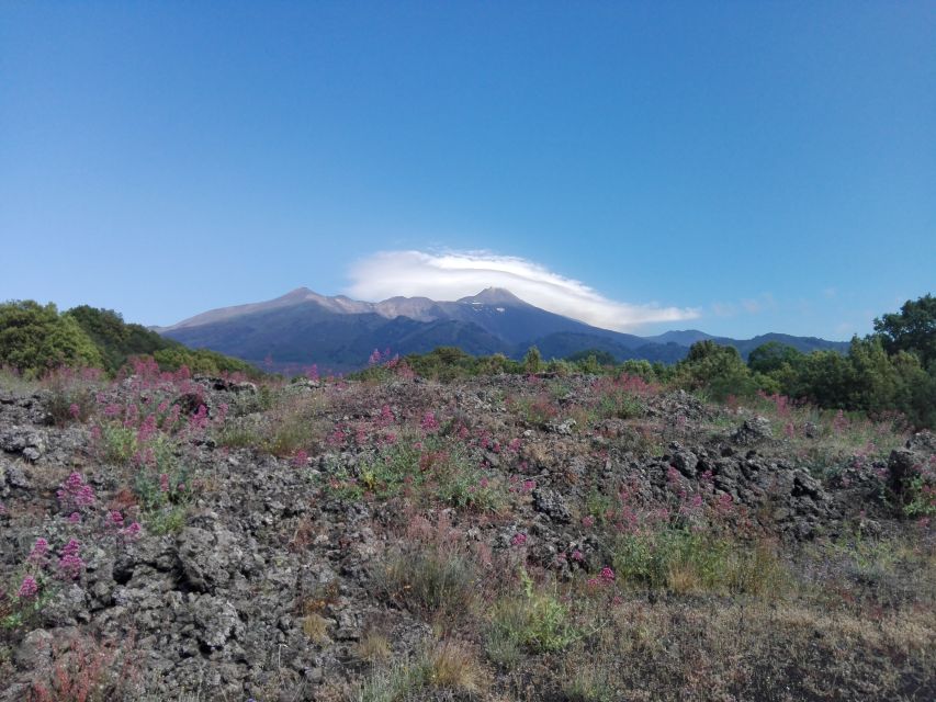 Catania: Mount Etna Sunset Tour and Etna Doc Wine - Valle del Bove and the Ox Valley View: Caldera Energy Without the Big Hike