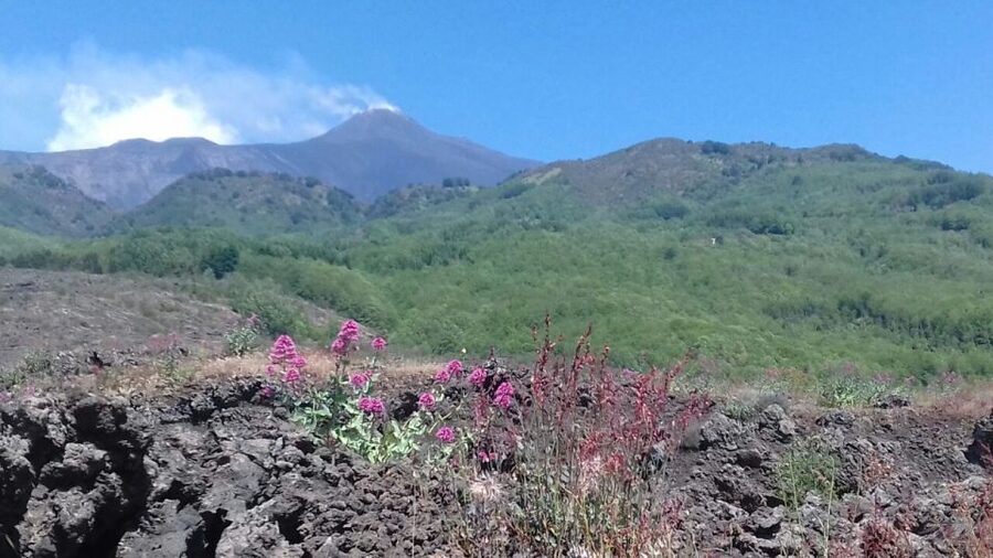 Catania: Mount Etna Sunset Tour and Etna Doc Wine - Meeting in Catania: Piazza Stesicoro Pickup Without the Hotel Hassle