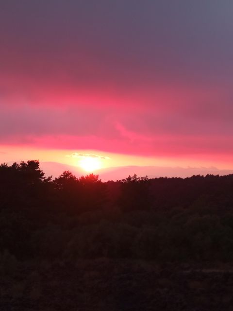 Catania: Mount Etna Sunset Trekking with Wine Tasting - Price and value: is $81 worth it for Etna at sunset?