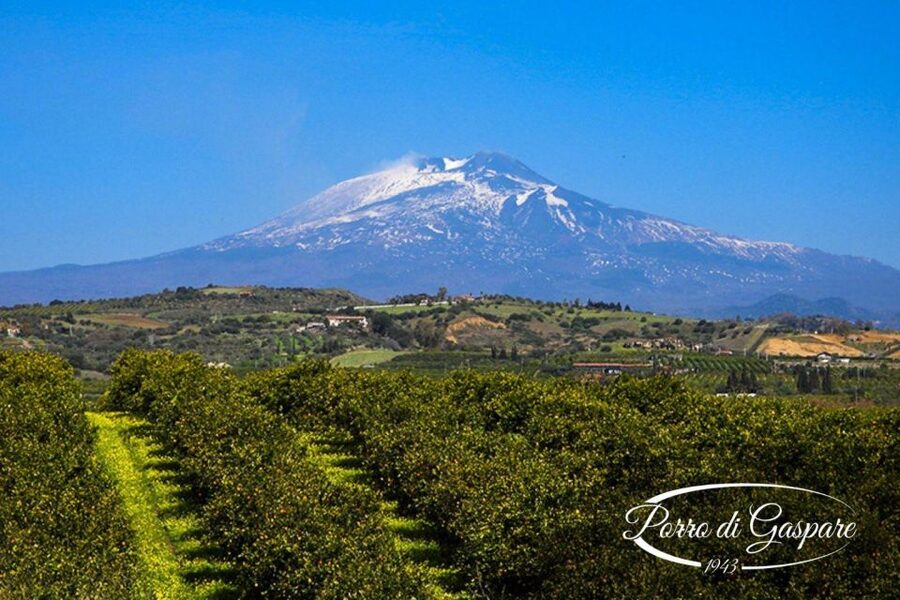 Catania: Pozzo di Gaspare Farm Guided Tour with Tastings - What You’ll Get in 2 Hours