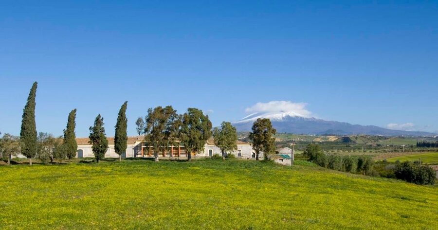 Catania: Pozzo di Gaspare Farm Guided Tour with Tastings - The Ancient Well Again, but With Modern Reality