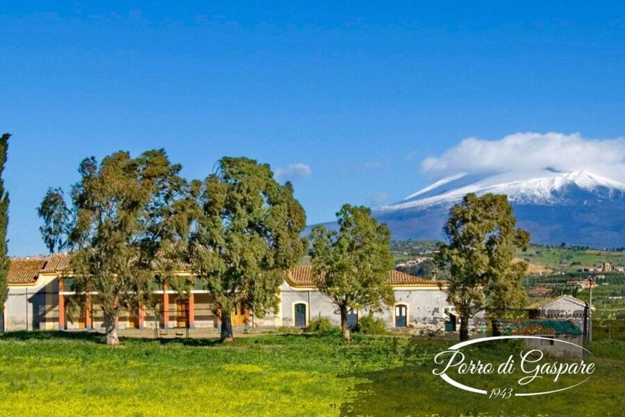 Catania: Pozzo di Gaspare Farm Guided Tour with Tastings - Views Over Catania’s Plain Make It Easier to Stay Present