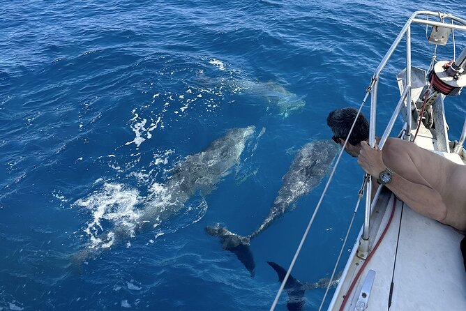Catania: Sail Cyclops Coast by Boat and Enjoy a Sicilian Aperitif - Snorkeling and SUP: fun extras, with a quick expectation reset