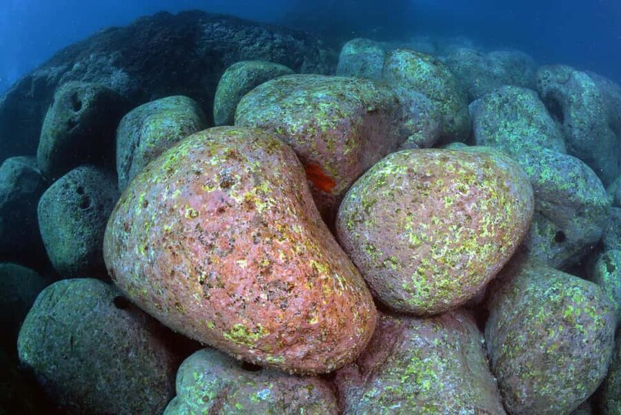 Catania: Scuba Diving Experience - Who This Works Best For (And Who Should Skip It)