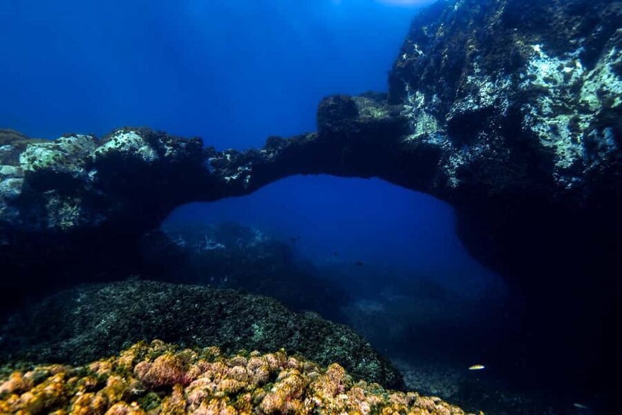 Catania: Scuba Diving Experience - Meet-Up at Camping Jonio: How the Session Starts Smoothly