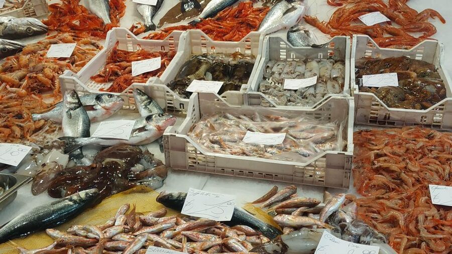 Catania Street Food Tour: Fish Market & City Centre - Why This Catania Walk Starts at the Fish Market