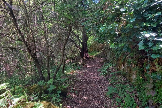 Cavagrande hiking tour - The 6 km Loop Trail: How Hard It Really Feels