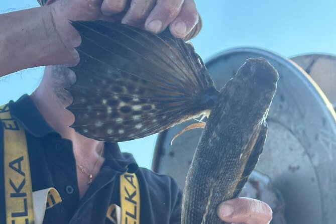 Cefalu: Boat Trip with Fishing, Coastal Tour and Lunch on Board - Lunch on board: fried catch, fish pasta, and local drinks