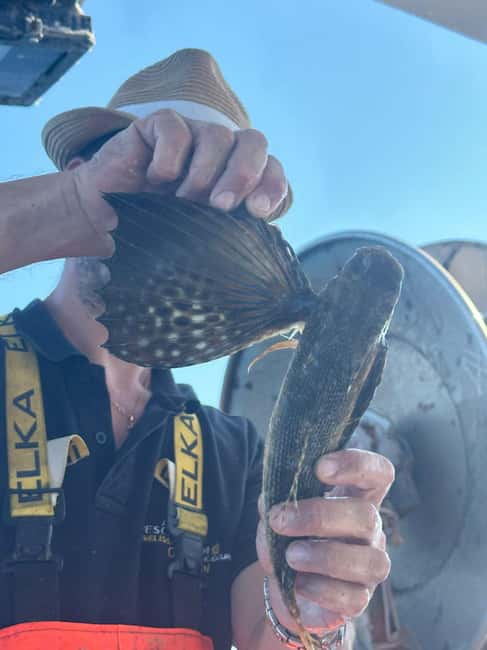 Cefalù: boat trip with fishing, coastal tour, snorkeling, and lunch on board - Watching the Nets Come In: The Best Skill on the Boat