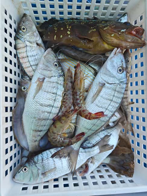 Cefalù: boat trip with fishing, coastal tour, snorkeling, and lunch on board - Lunch on Board: Seafood Cooked From the Morning’s Catch