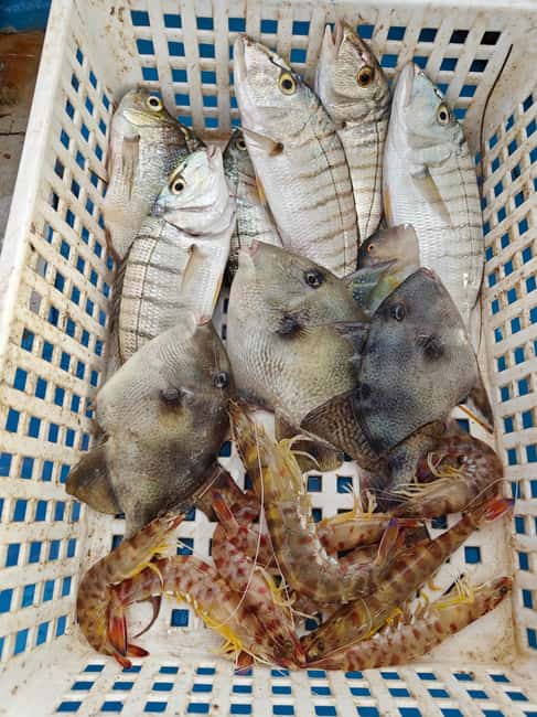Cefalù: boat trip with fishing, coastal tour, snorkeling, and lunch on board - Price and Value: Why $94 Makes Sense Here