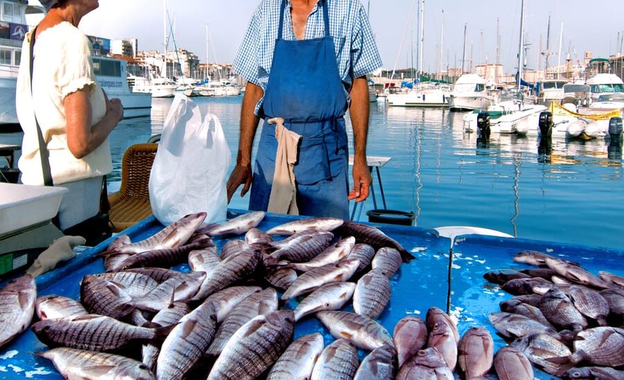 Cefalù: Market Tour and Meal at a Local's Home - Key things you’ll notice (quick hits)