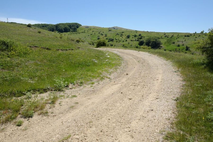 Cesarò: Full Day Tour of Nebrodi Park in a 4x4 - Why a Nebrodi Park 4x4 day from Cesarò feels different