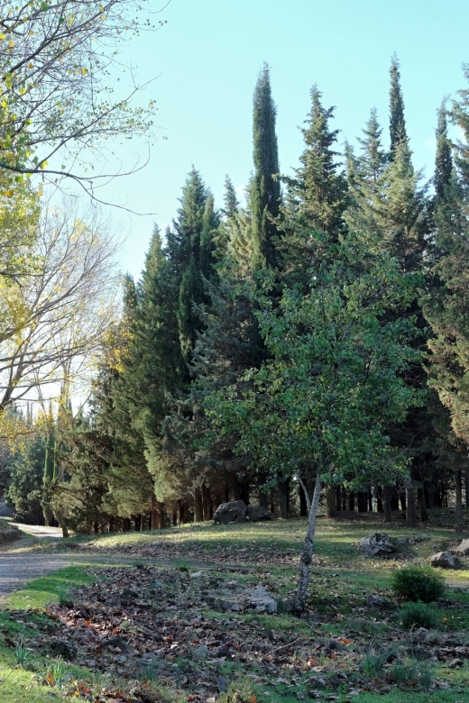 Cesarò: Full Day Tour of Nebrodi Park in a 4x4 - Wildlife moments: black pigs and Sanfratellani horses