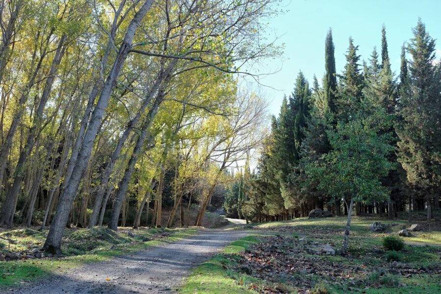 Cesarò: Full Day Tour of Nebrodi Park in a 4x4 - Meeting at Portella Femmina Morta: the start point you must find