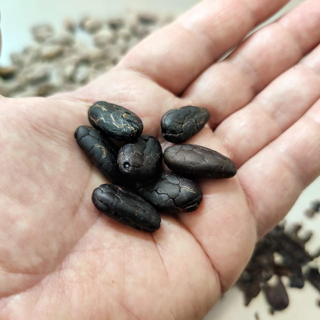 Chocolatier for a day: raw bean to bar chocolate in Modica - Who this workshop is perfect for