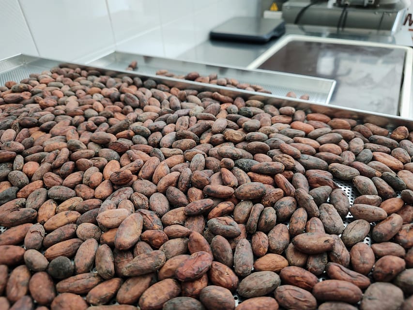 Chocolatier for a day: raw bean to bar chocolate in Modica - Entering a Modica chocolatier lab