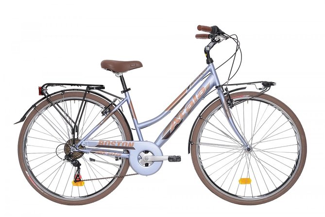 CityBike Rental in Palermo - Key highlights you’ll feel right away