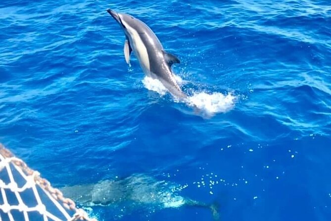 Classic Boat Tour in Palermo - What to expect onboard: photos, shade, and how the day stays relaxed