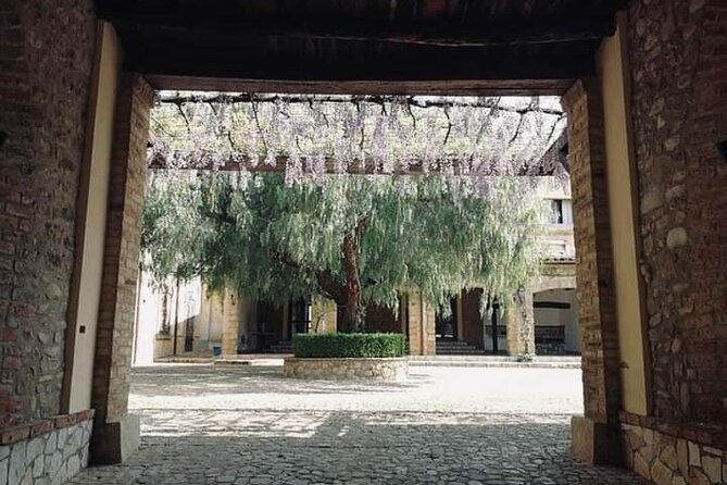 Cooking Class in a historic sicilian farmhouse - Price, Inclusions, and Value for 8 Hours in Sicily