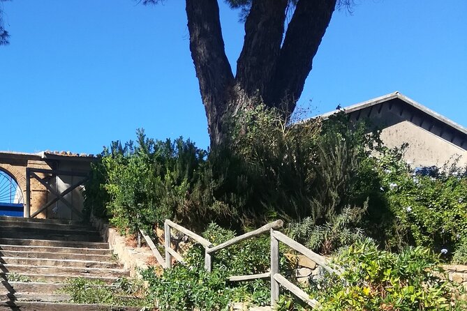 Cooking Class in a Sicilian countryhouse - The Menu You’ll Make: Pasta alla Norma the Local Way