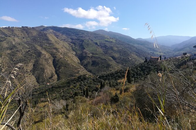 Cooking Class in a Sicilian countryhouse - Price and Value: Does $224.76 Hold Up?