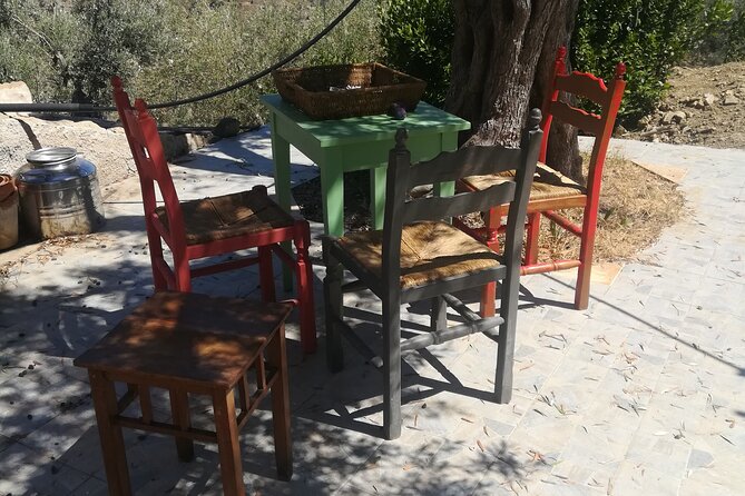 Cooking Class in a Sicilian countryhouse - Who This Sicilian Class Fits Best