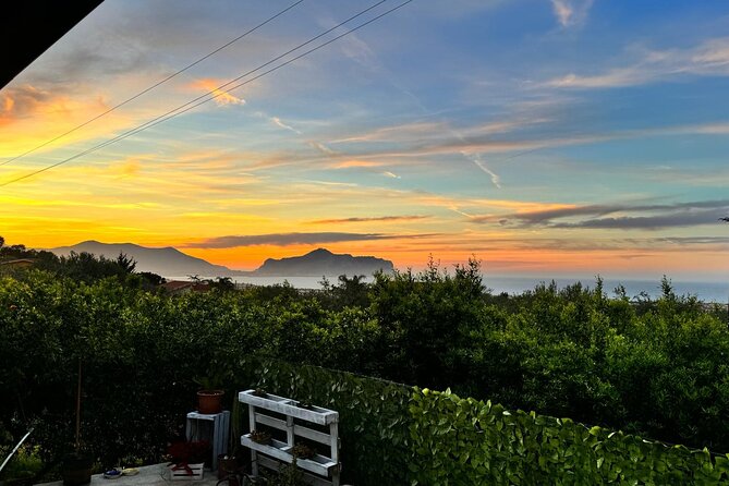 Cooking class in a villa with Palermo view - Practical Tips So You Leave With Real Skills