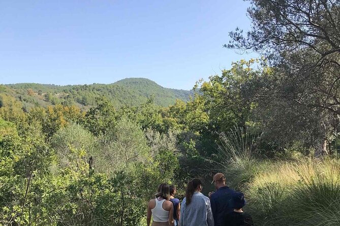 Cooking class in the countryside with Simona - Beyond pasta: meat courses, veggie favorites, and classic Sicilian bites
